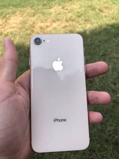 iphone 8  pta