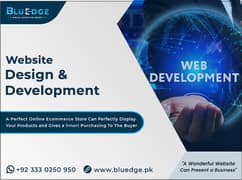 Website Designing by Professionals