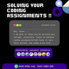 Coding Assignment Solver