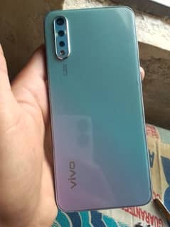 vivo