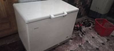 Haier Freezer for sale condition 10.8 Need Money