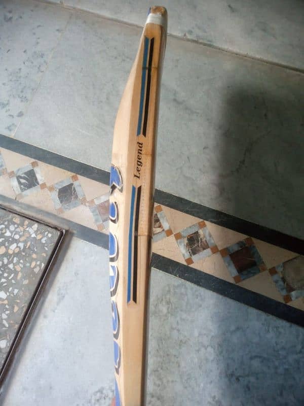 Hard Ball Bat ( English willow) 12