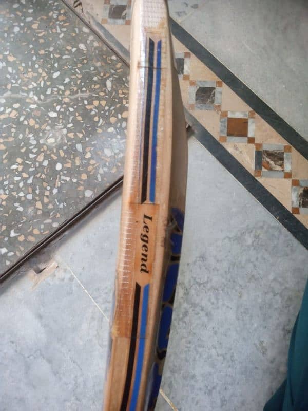 Hard Ball Bat ( English willow) 13