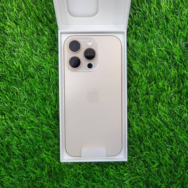 Cellarena Apple Iphone 16 Pro 1