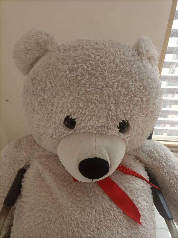 BIg size Teddy bear 1