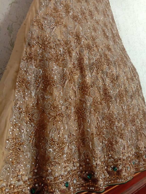 Beautifull walima  golden maxy 1