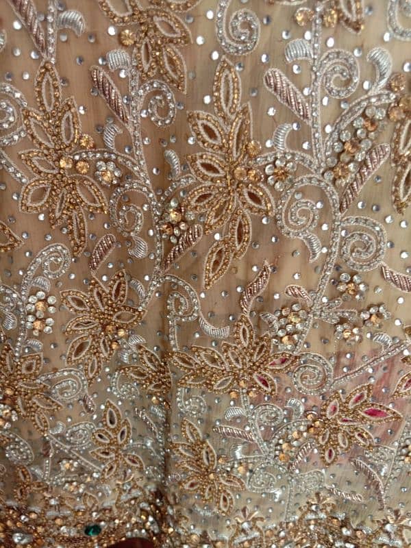 Beautifull walima  golden maxy 2