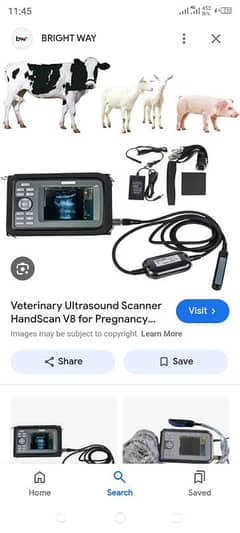 Veterinary Ultrasound Scanner Handscan V8