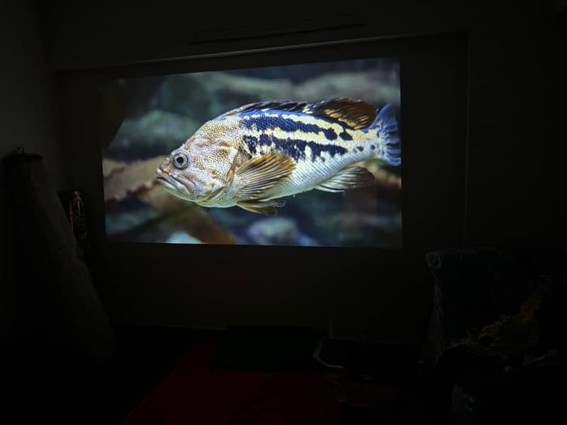 4k projector wireless android 150” inch screen 6