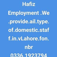 Hafiz employment 0