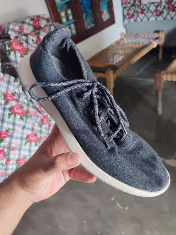 Allbirds Sneakers Shoes 2