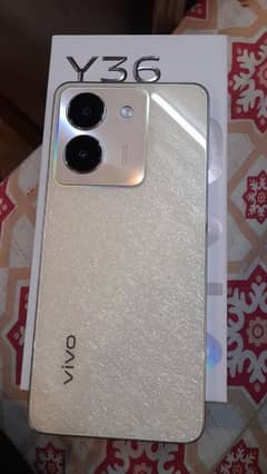 vivo y36 8+8/256/10 by 10