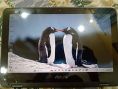 Asus laptop and notebook