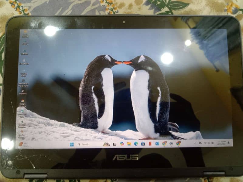 Asus laptop and notebook 0