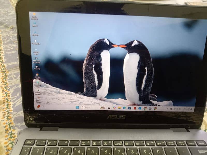 Asus laptop and notebook 3