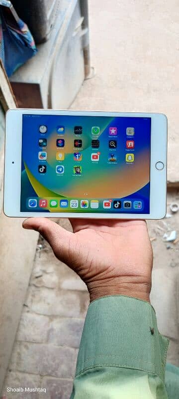 ipad mini 5 10/10 conditon full box 1