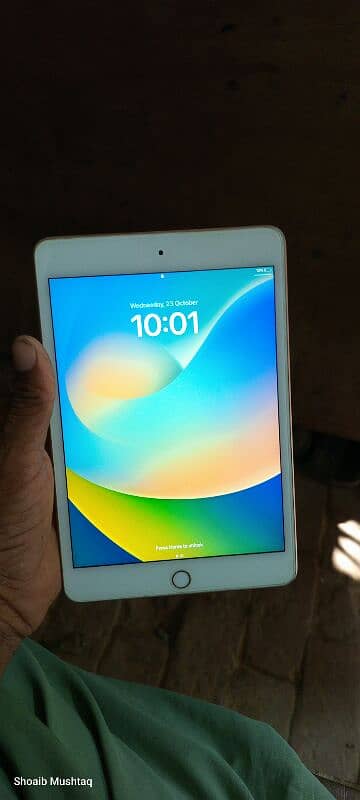 ipad mini 5 10/10 conditon full box 6