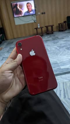 iPhone Xr 64GB 0