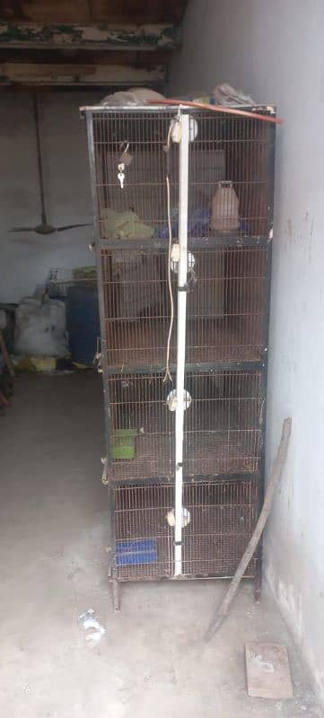 love bird cage / rabbit cage 1