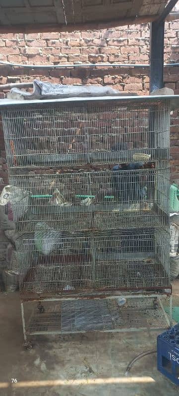 love bird cage / rabbit cage 2