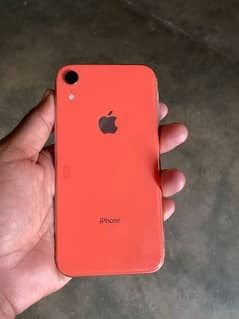 iphone XR mobile 64gb