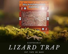 Lizard Trap, Rodent Glue Trap, insects light Trap