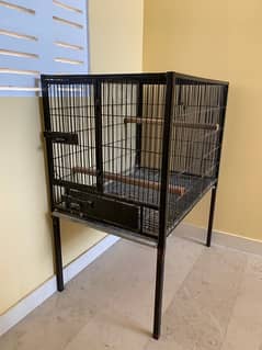 Gray Parrot cage