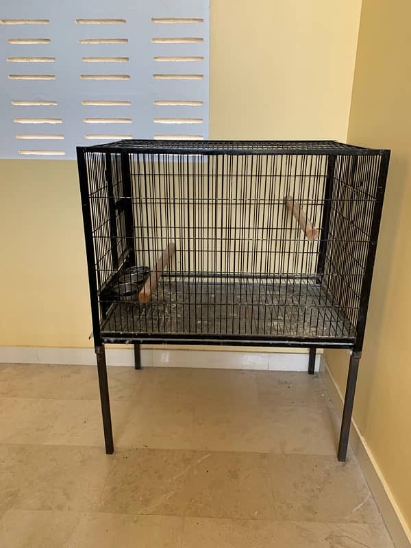 Gray Parrot cage 1