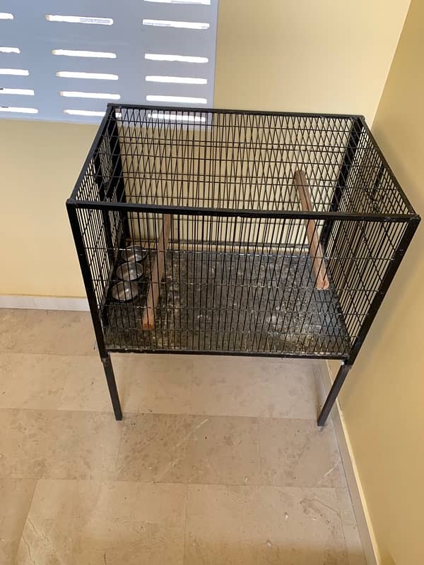 Gray Parrot cage 2