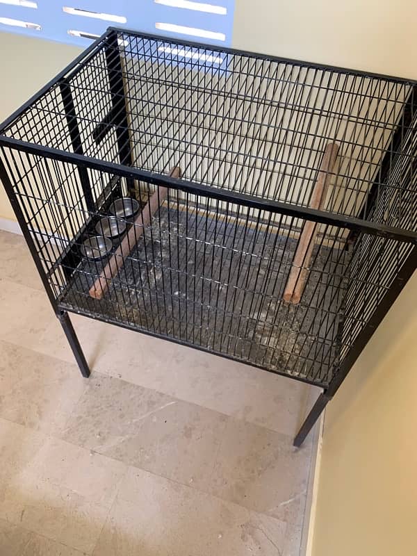 Gray Parrot cage 3