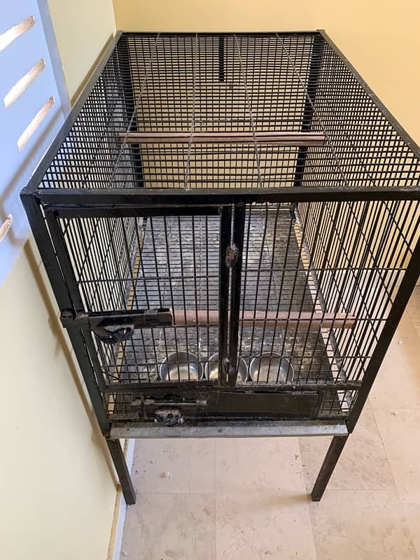 Gray Parrot cage 4