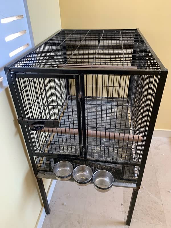 Gray Parrot cage 5