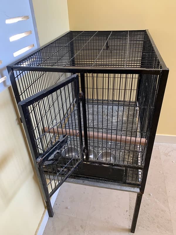 Gray Parrot cage 6