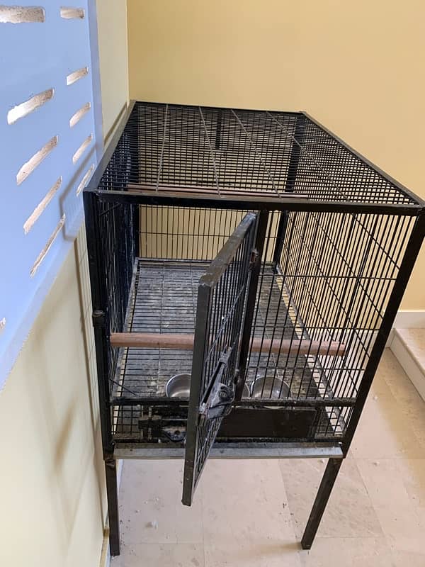 Gray Parrot cage 7