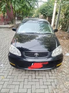 Corolla XLI 308 848 7474 0