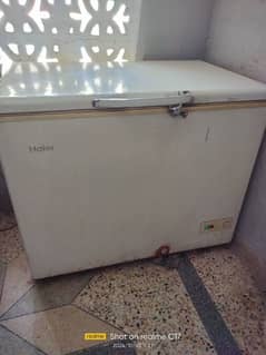 HAIER SINGLE DOOR DEEP FREEZER IN GOOD RUNNING CONDITION NEVER REPAIR