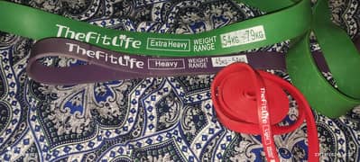 The FittLife Resistance band