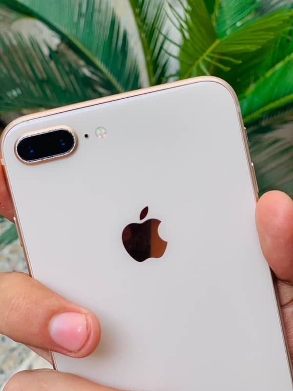 Iphone 8 Plus Pta approve 1