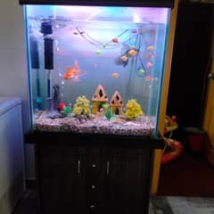 Aquarium fish sale near me best sale