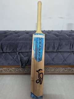 Hardball bat