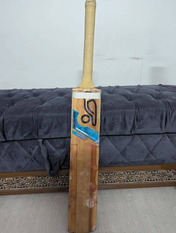 Hardball bat 1