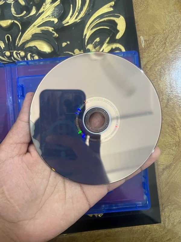 RDR2 PS4 Just seal open 3