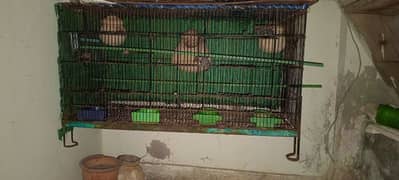 birds cage pinjra finches 2portion 0