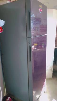 haire company glass door full size frige