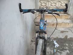 Mountain Cycle 0