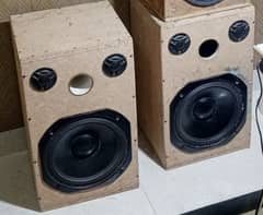 12 inch professional speakers pair