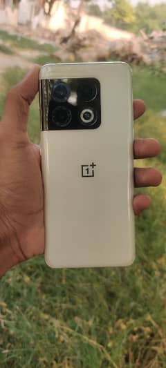 One plus 10 pro Panda Edition