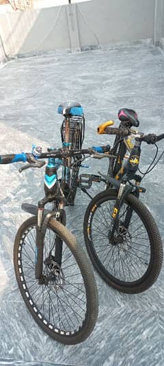 Gerik Mountain bike