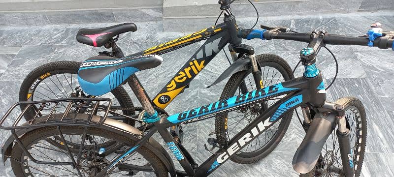 Gerik Mountain bike 1