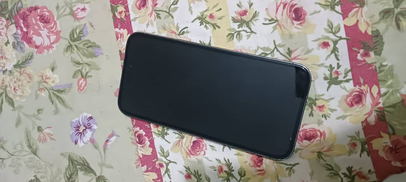 iPhone 14 pro max non PtA 1